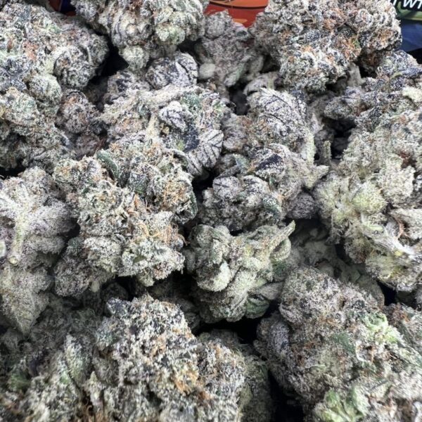 falcon premium cannabis floweer
