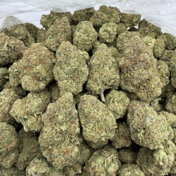 Cherry Sour Skittlez Premium Cannabis