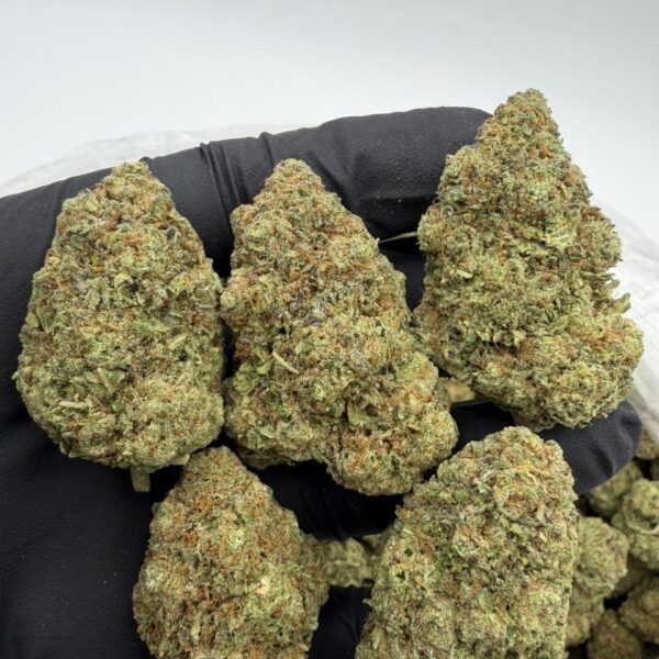 cherry sour skittlez exotic indoor flower