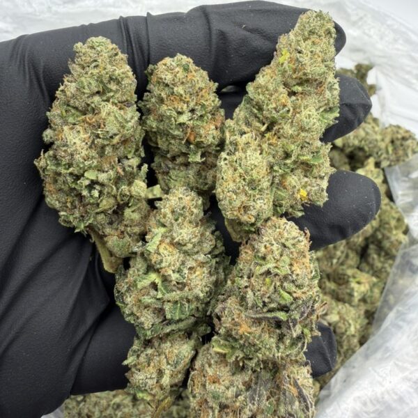 jet fuel runts exotic indoor flower