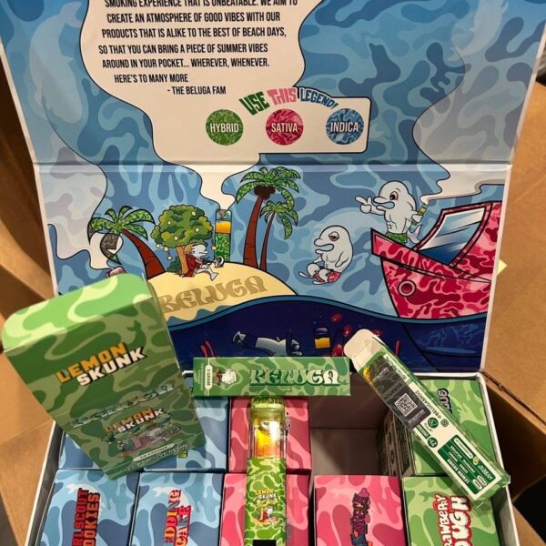 beluga 3g disposable