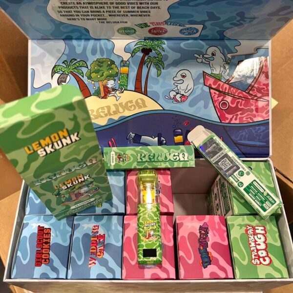beluga 3g disposable