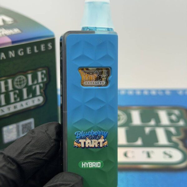 Whole Melt Phase Five V2 2G Disposable