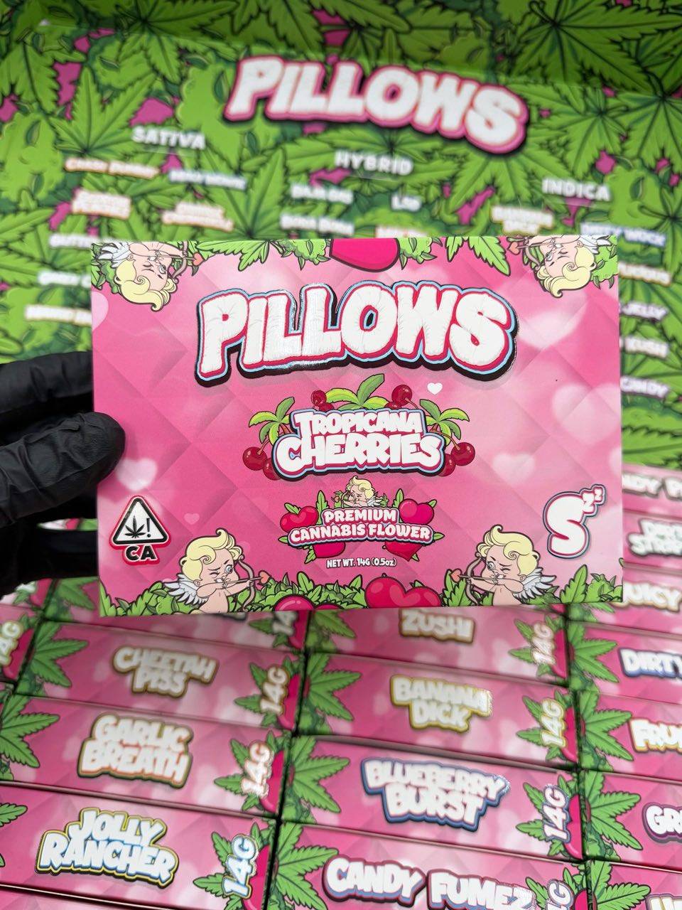 signal-2026-06-14-214853_002 Snooze Pillows Valentine's Edition