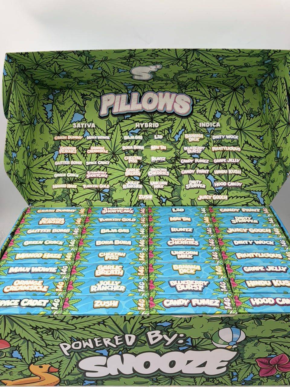 signal-2026-06-15-090549_004 Snooze Pillows Summer Edition