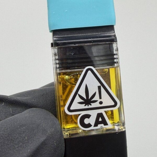 PLUGPLAY 1G vape