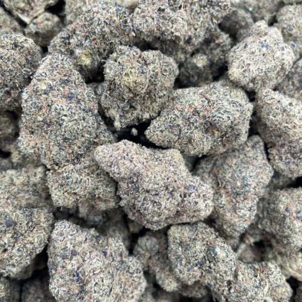 old lcg candy indoor flower