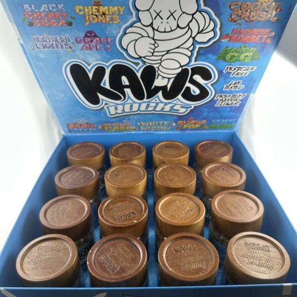Kaws Rocks Snowcap Edition