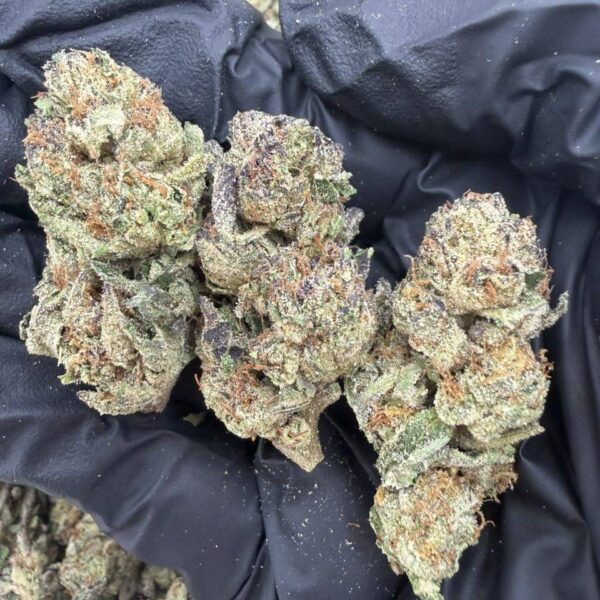 frosted runtz indoor flower