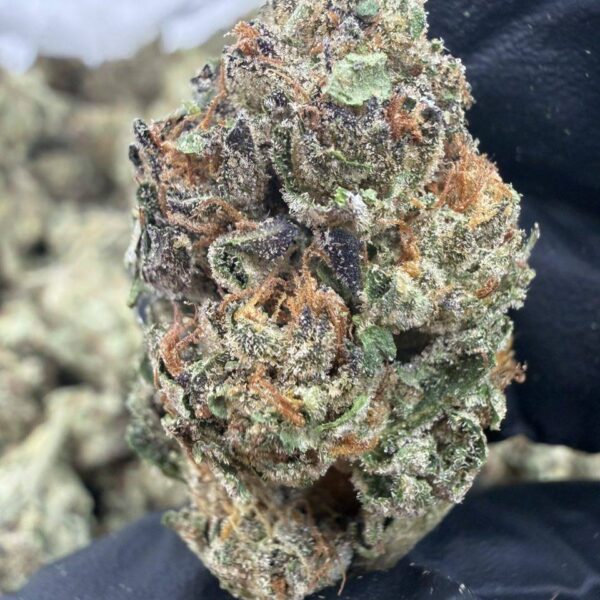 frosted runtz indoor flower