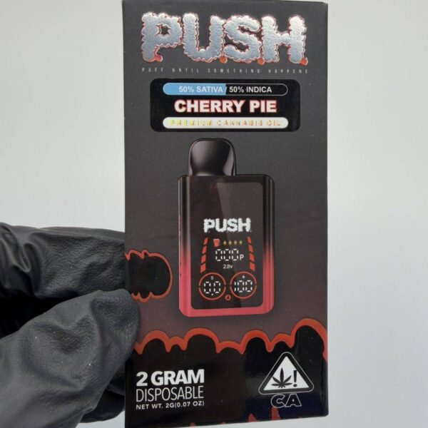 push v2 summer edition 2g disposable