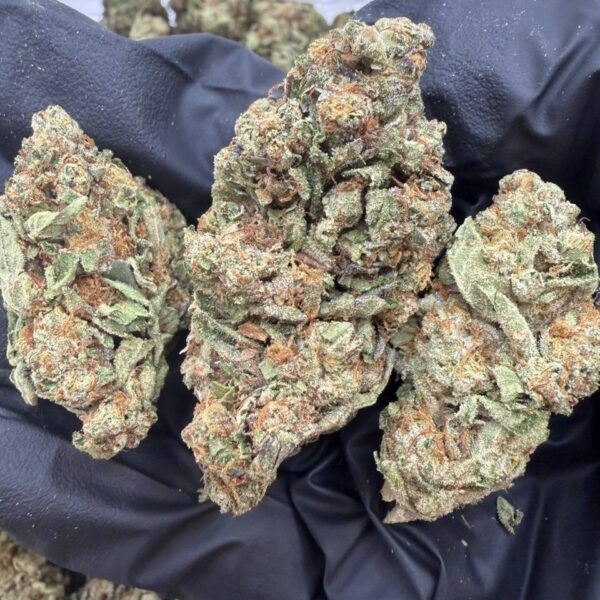 north garlic premium cannabis flower