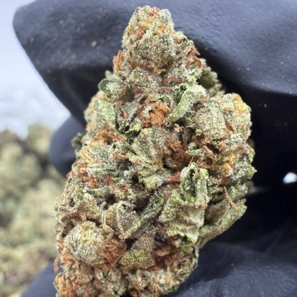 north garlic premium cannabis flower